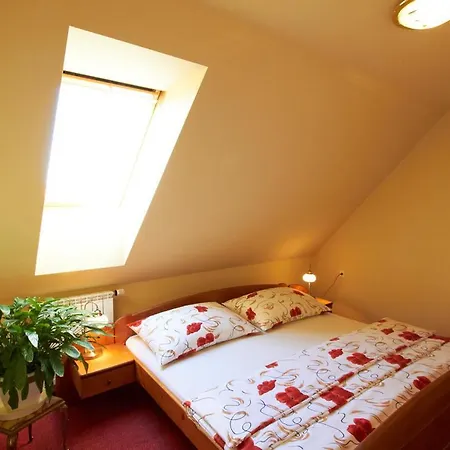 Danuse 3* Telc