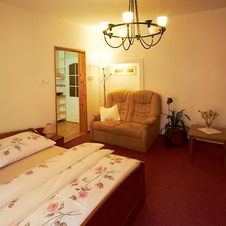 Guest house Danuse 3*